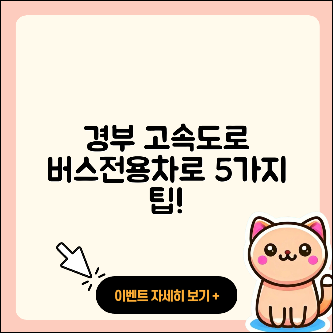 경부 고속도로 버스전용차로 시간 5가지 팁