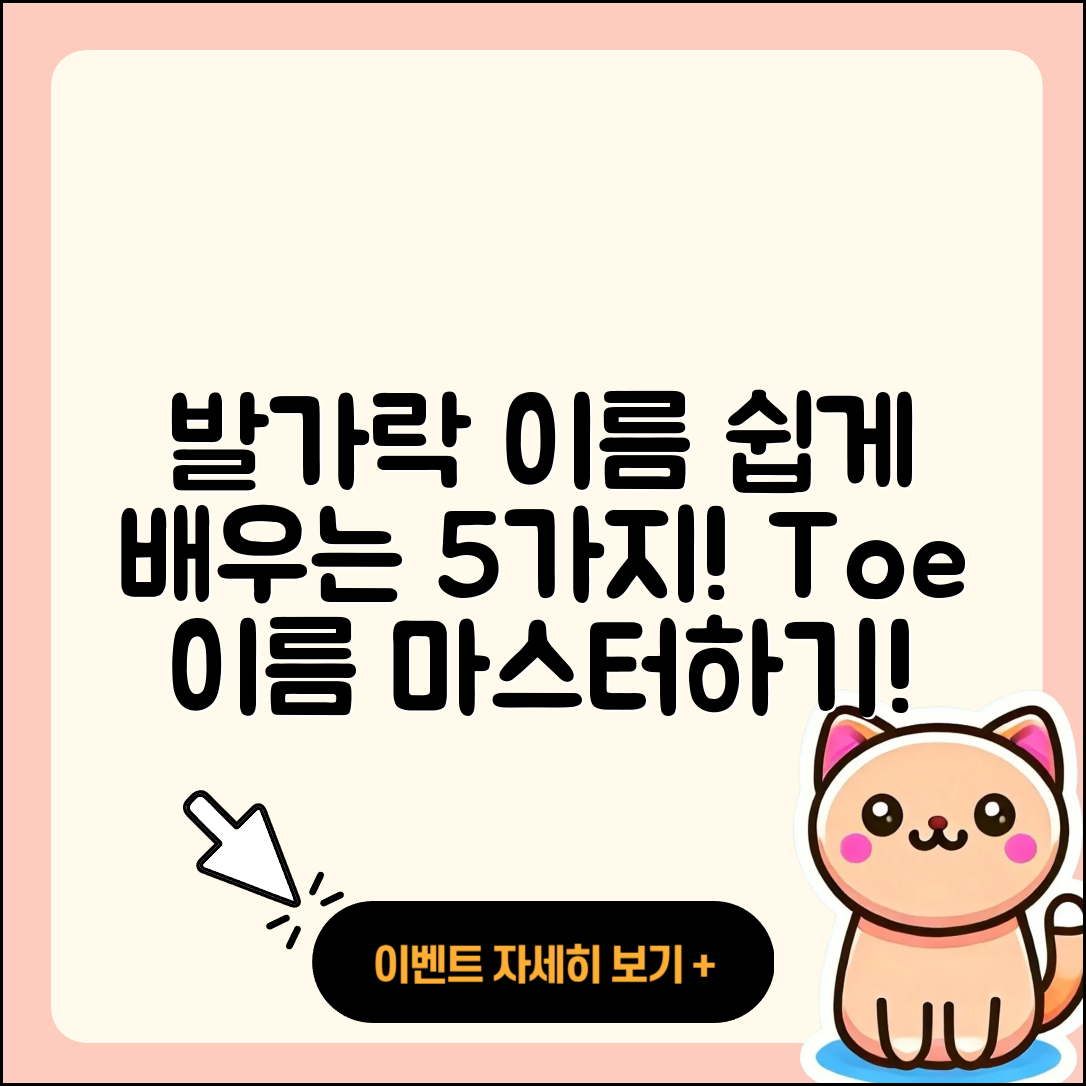 발가락 이름 쉽게 배우는 5가지